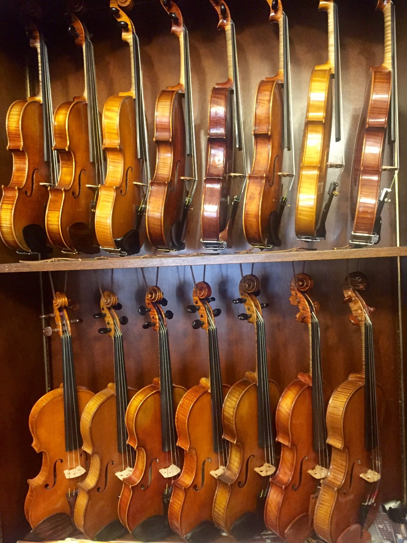Flamed-maple violin back glowing under warm light at Segel Violins in Troy, NY Flamed-maple violin back glowing under warm light at Segel Violins in Troy, NY