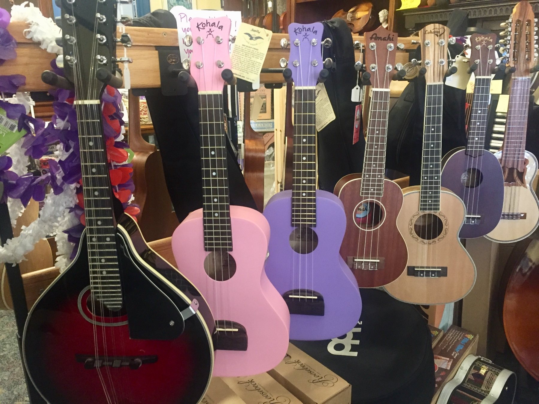 Ukuleles and other stringed instruments on the wall at Segel Violins Ukuleles and other stringed instruments on the wall at Segel Violins